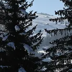 Les Bouquetins * La Clusaz