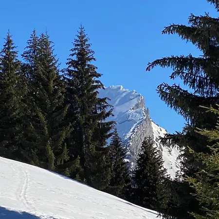 Les Bouquetins * La Clusaz