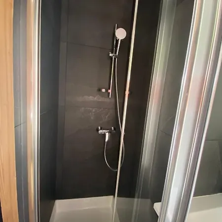 Les Bouquetins *