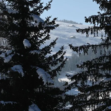 Les Bouquetins * La Clusaz